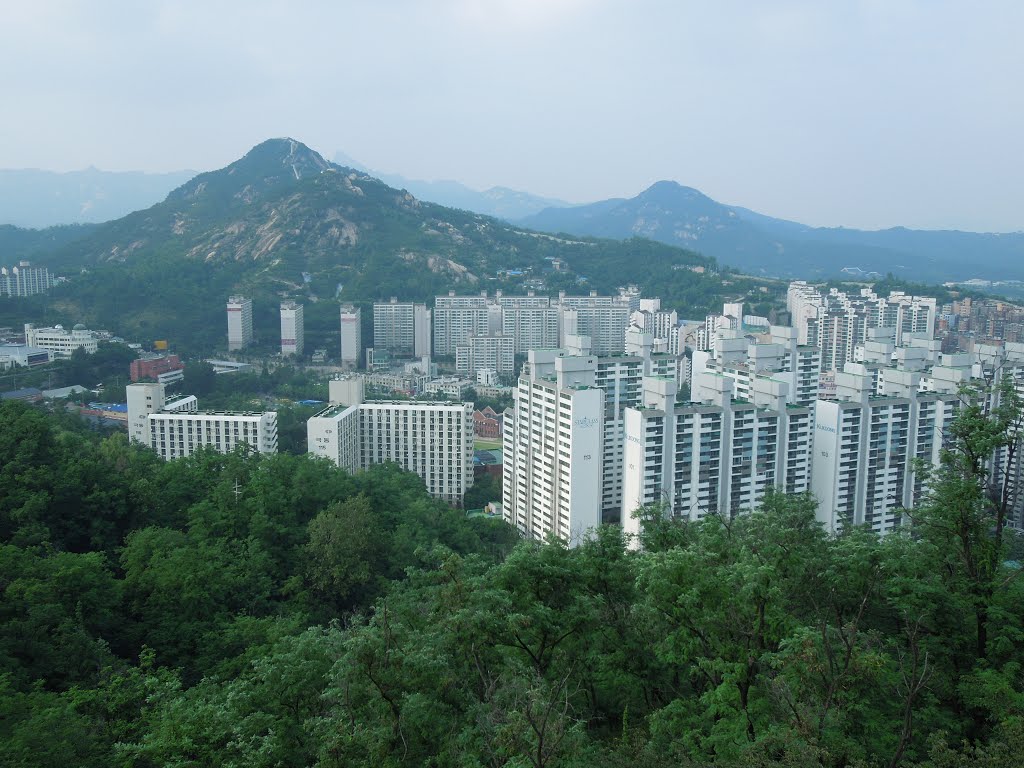 View from Yukmo Pavilion 안산 육모정 전경 by plumgarden