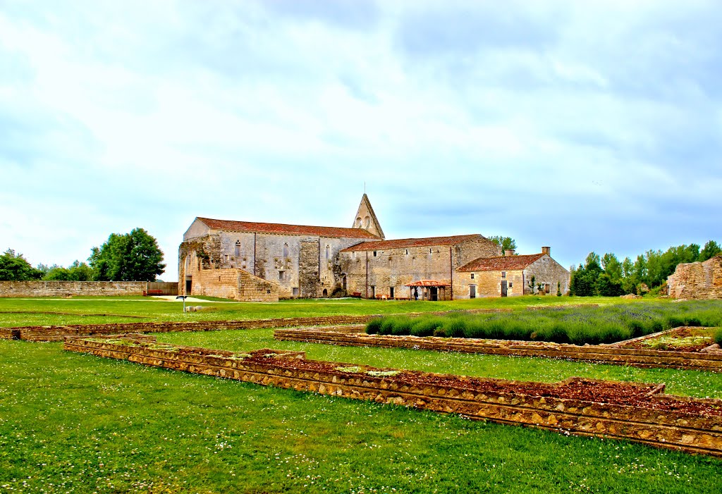 Abbaye de Maillezais by Flore62