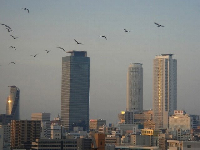 名古屋駅 by みっちゃん