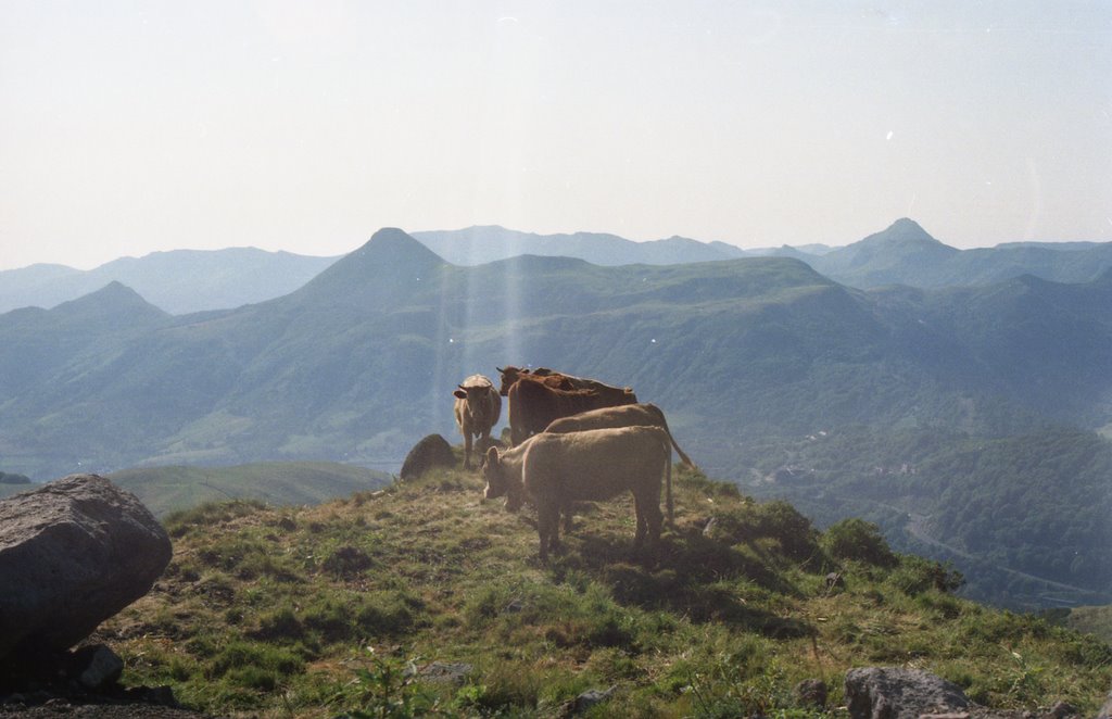 Le Puy de l'Usclade, le Puy Griou et le Puy Mary vus depuis le Plomb by Xavier Deltrieu