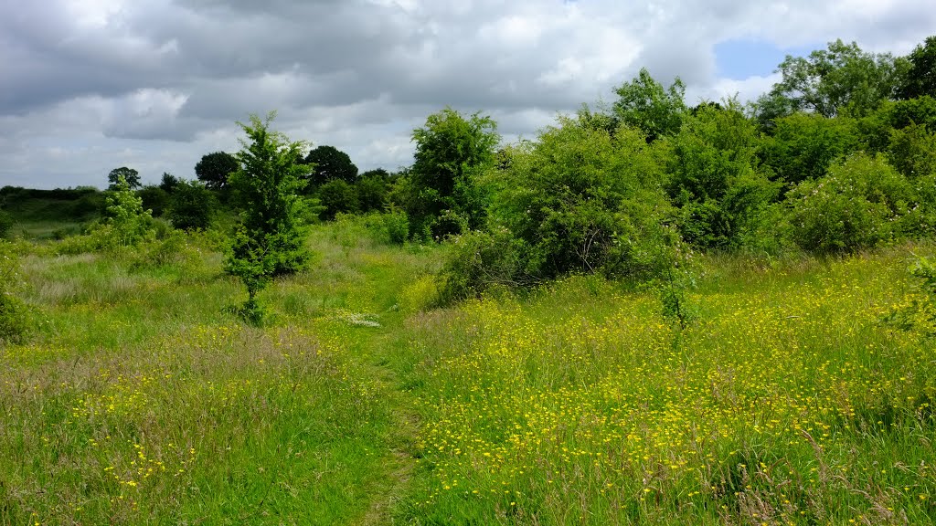 Footpath between Town Lane and Pavement Lane by Dennis Neill