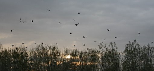 Hamadan, Razan-Ghorveh-Kaj, Iran by teznet.net