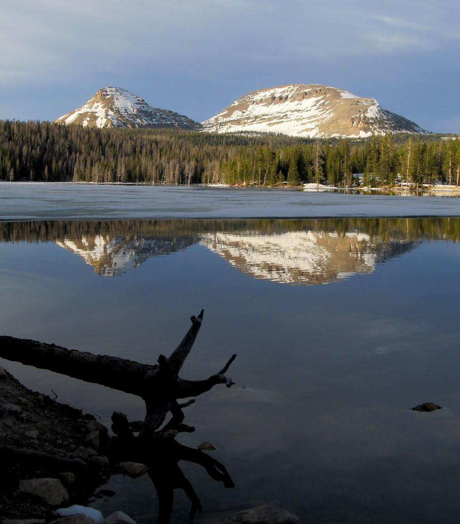 Reid's Peak and Bald Mountain over Trial Lake by Udink