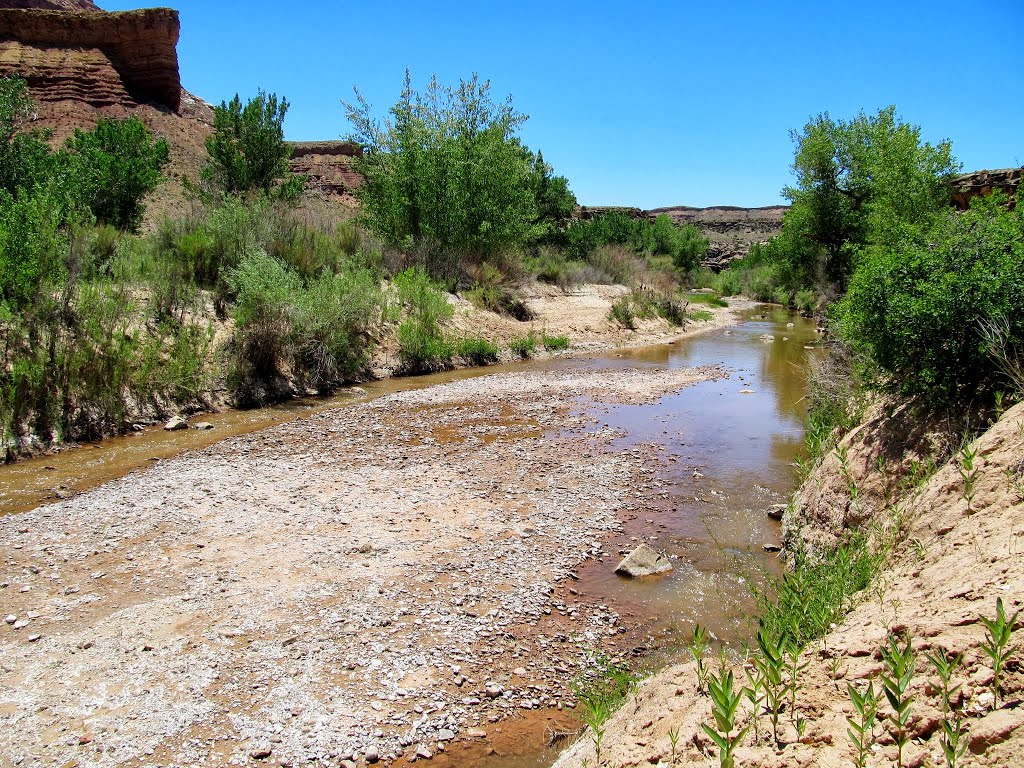 San Rafael River below the Upper Black Box by Udink