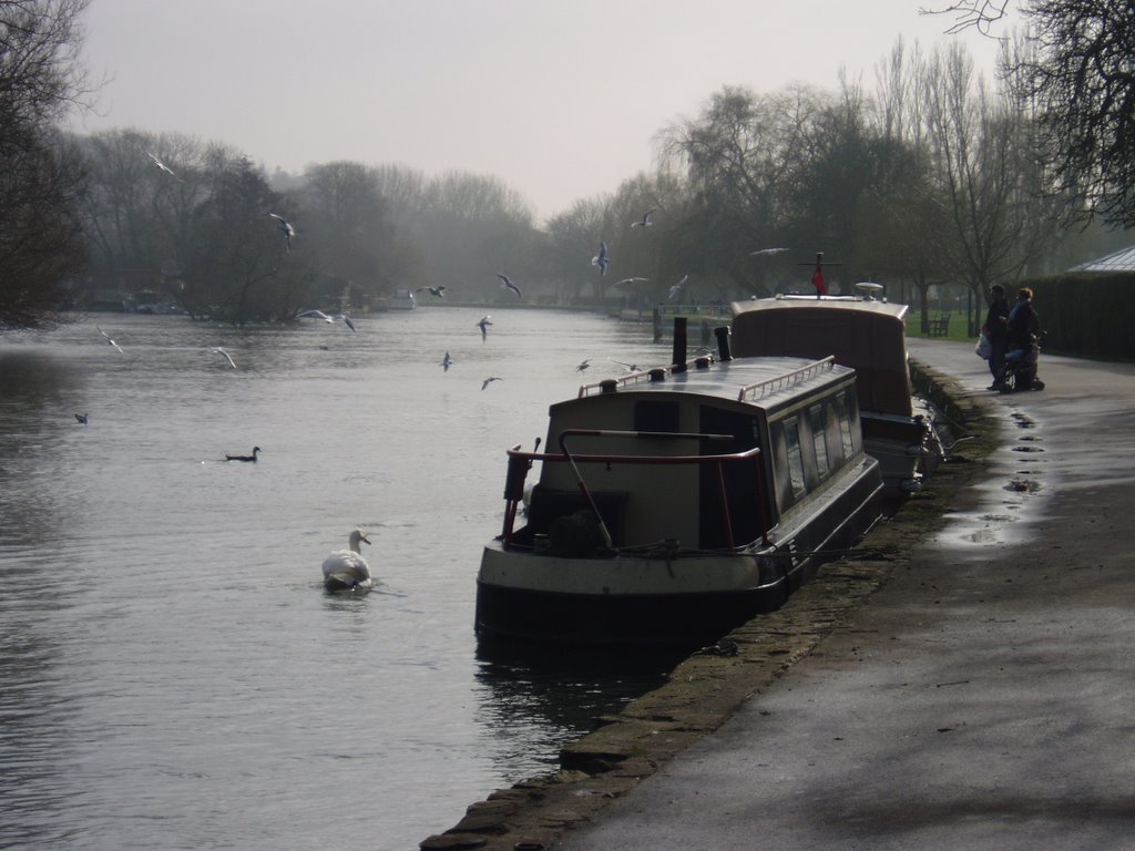 Misty morning on the Thames by Shirley Anne