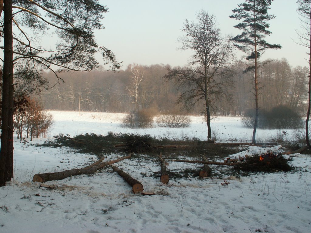 Kijewo, Szczecin, Poland by Krzysztof Jankowski