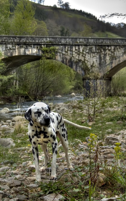 Puentenansa. Cantabria by bernargg