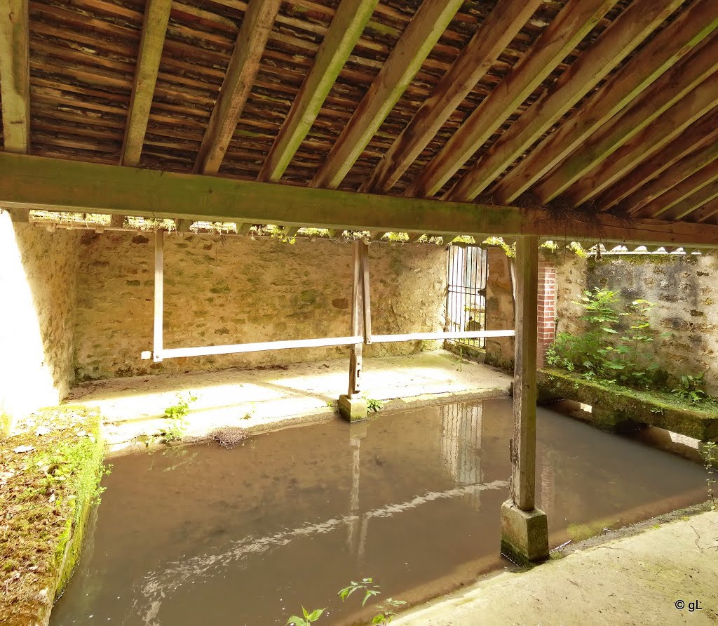 Théméricourt - Intérieur du lavoir by astrorail