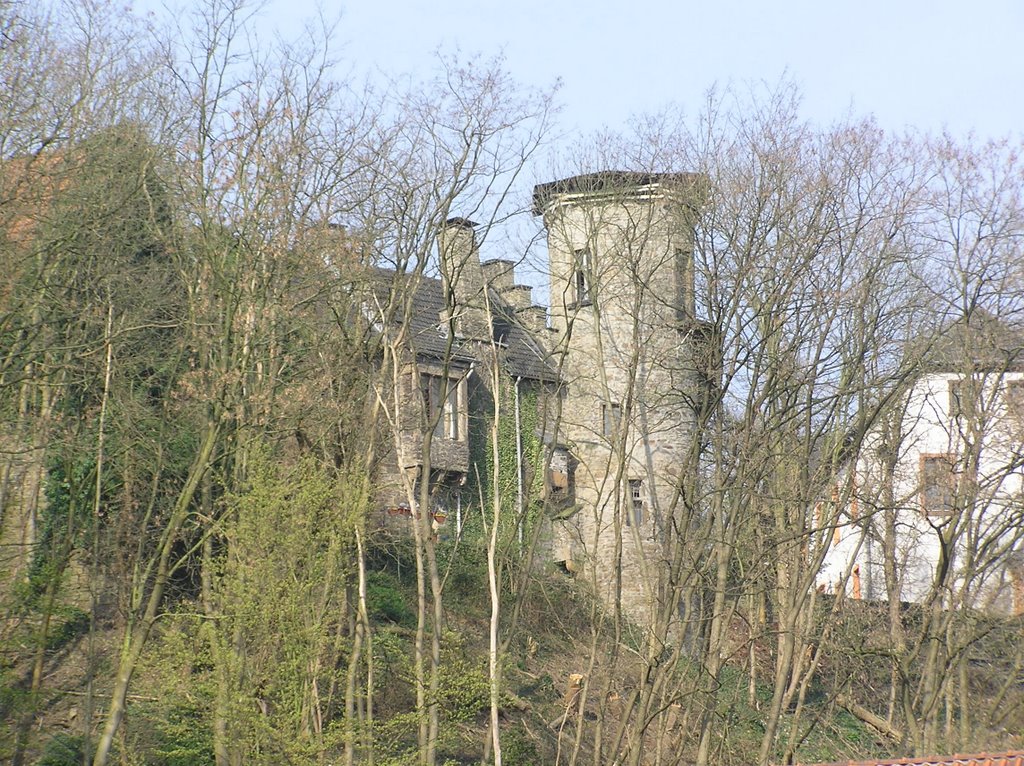 Schloss Steinhausen by Herbstreit Landschaf…