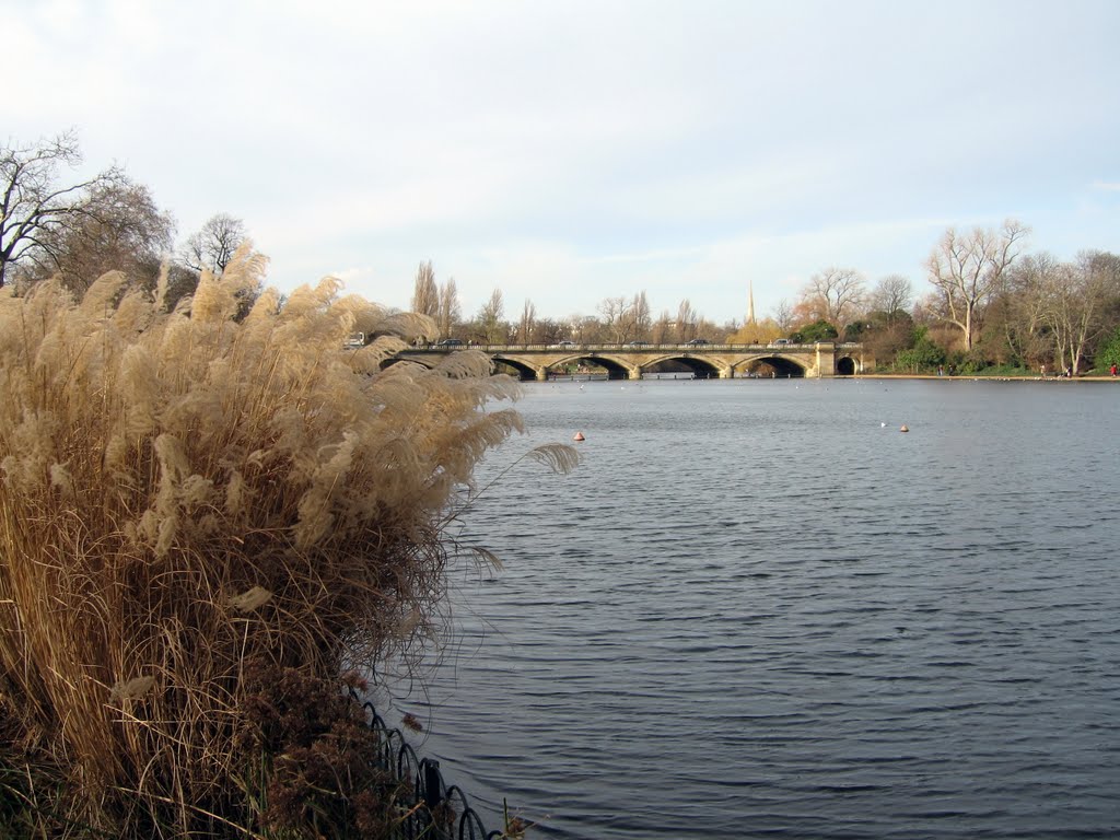 Hyde Park - The Serpentine by Serge GunZZ