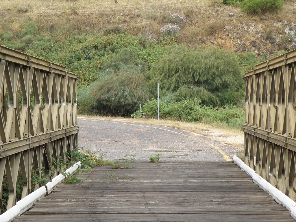 At the old Bnot Ya'akov Bridge / Na starém mostě Bnot Ja'akov by DM brothers