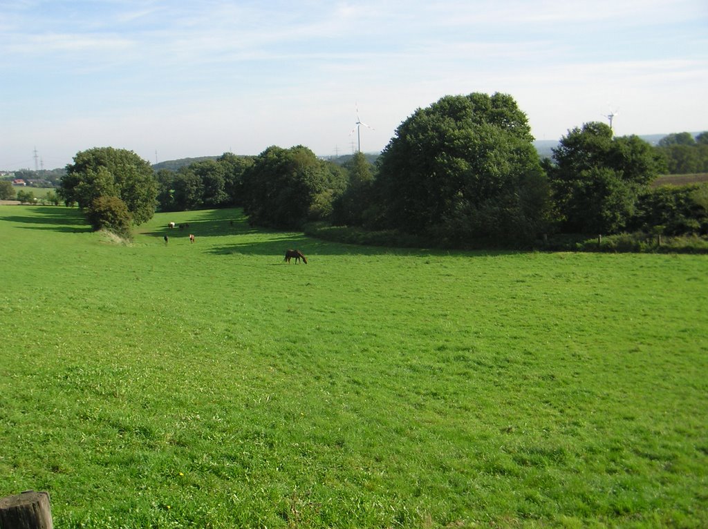 Weide und Bach bei Tiefendorf by Herbstreit Landschaftsarchitekten