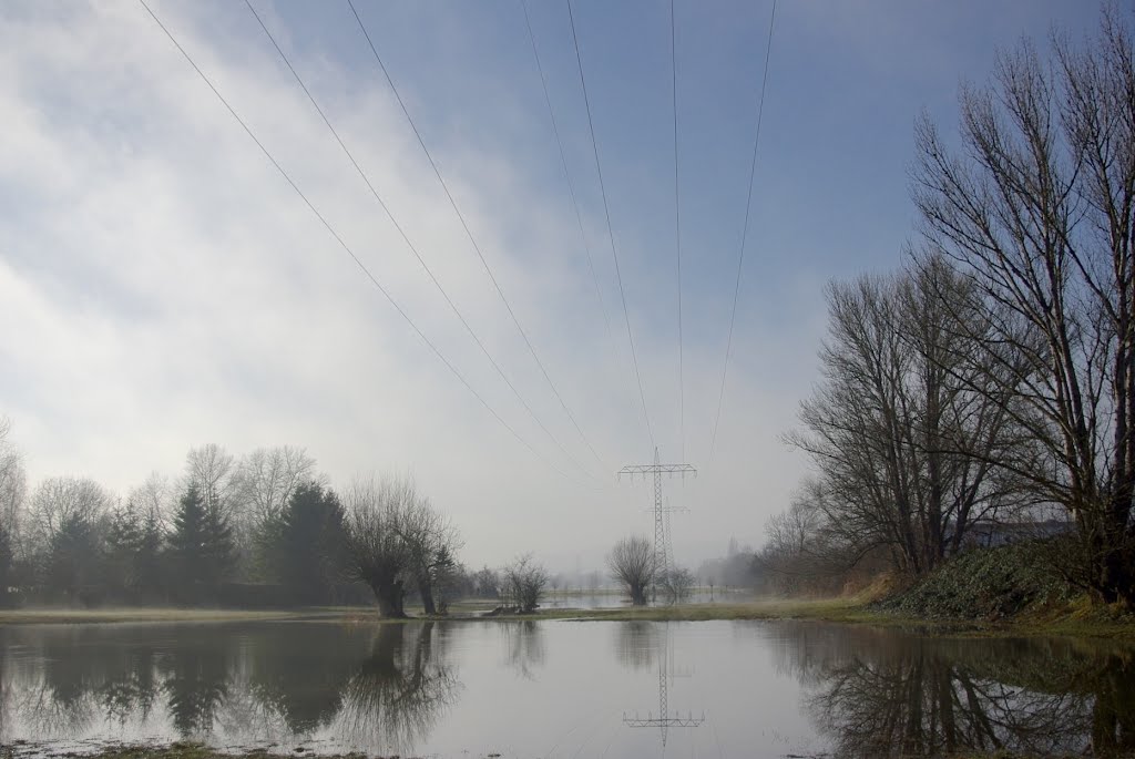 Jena, Saalewiesen bei Hochwasser by gripfli