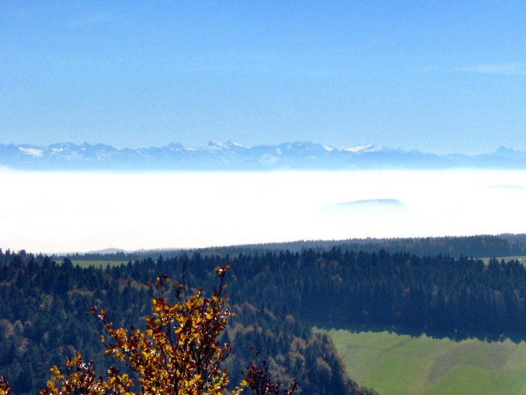 Blick vom Gugelkopf zu den Alpen by mark_lll