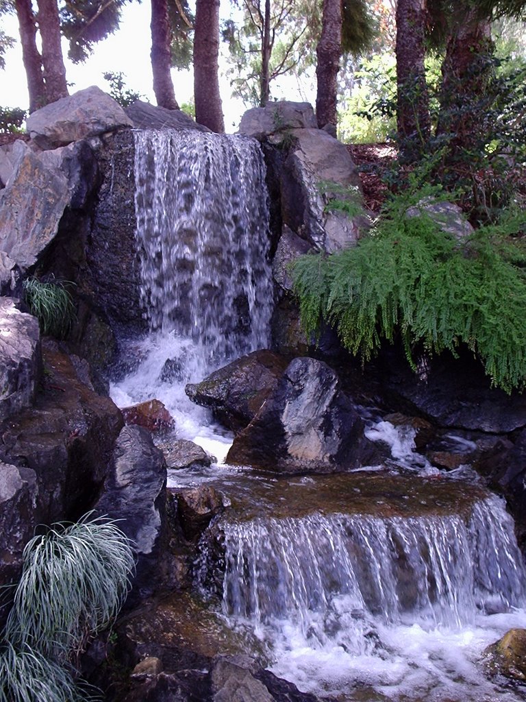 Waterfall in Japanese Gardens at Rockhampton Botanical Gardens by DarleneG