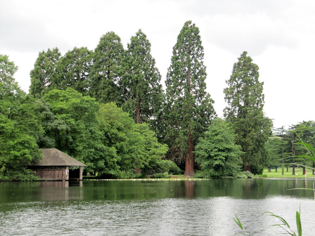 The lake at Tredegar House, Newport, Wales by oldchippy