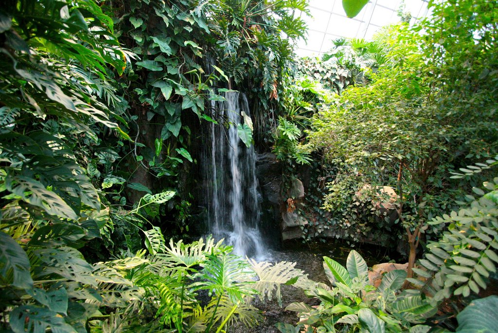 Germany, Stuttgart, Zoo, Wihelma, Amazonienhaus, waterfall by andim