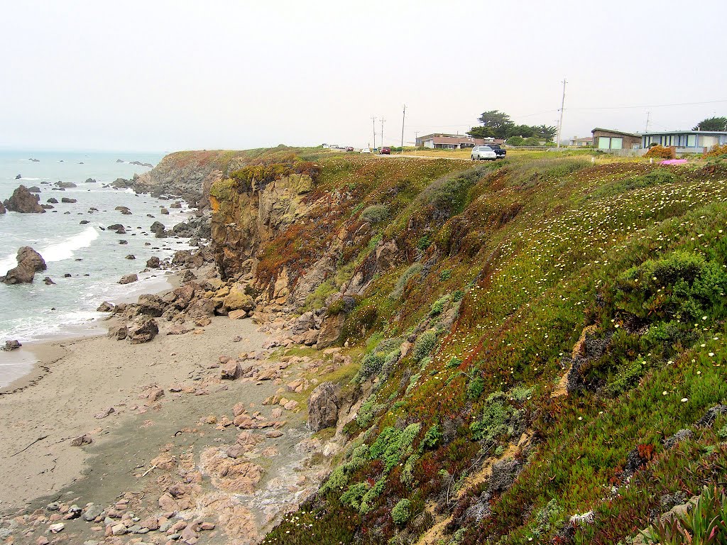 Near Bodega Bay between Schoolhouse beach and Arched Rock. by delightsnluv