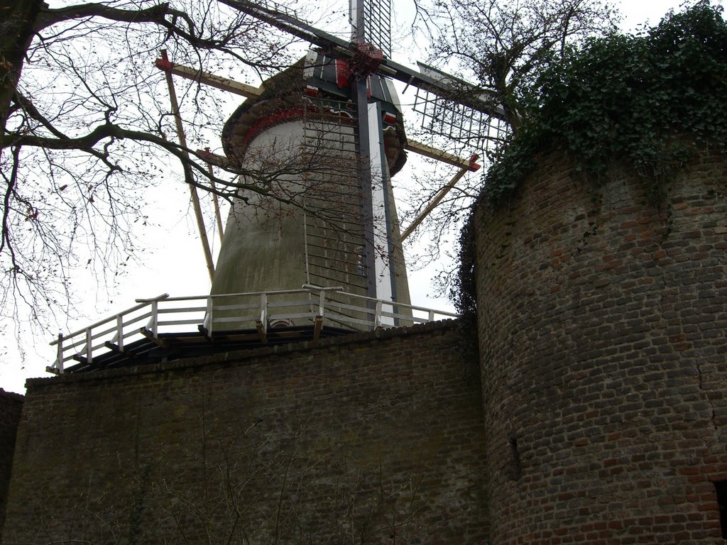 Windmolen Rhenen en stadsmuur. by Royz