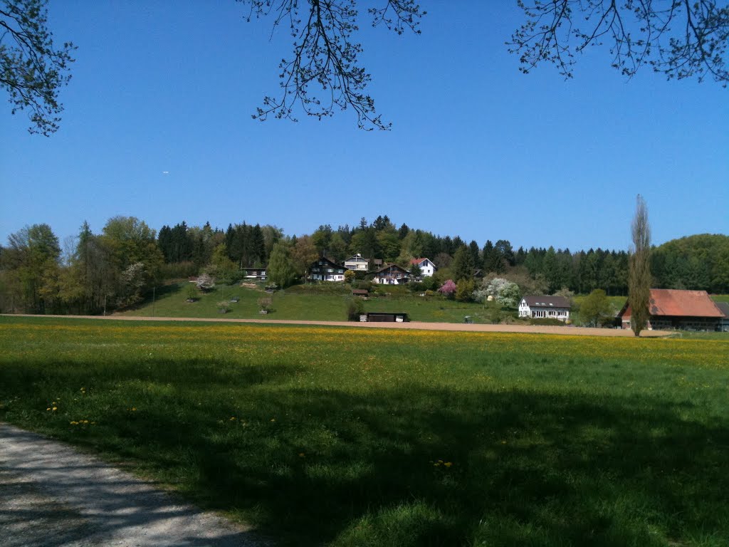 "Im Zwei" between Bisikon and Illnau by Artur Braun