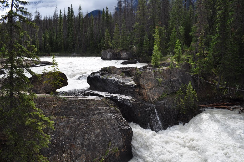 Rockies waterfall by Carl Hewitt