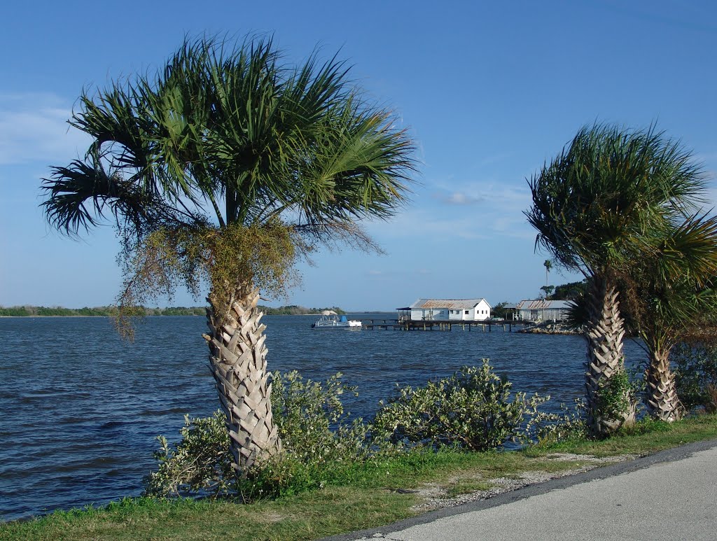 Mosquito Lagoon, looking east from just north of Seminole Rest, Oak Hill (10-13-2012) by Ken Badgley