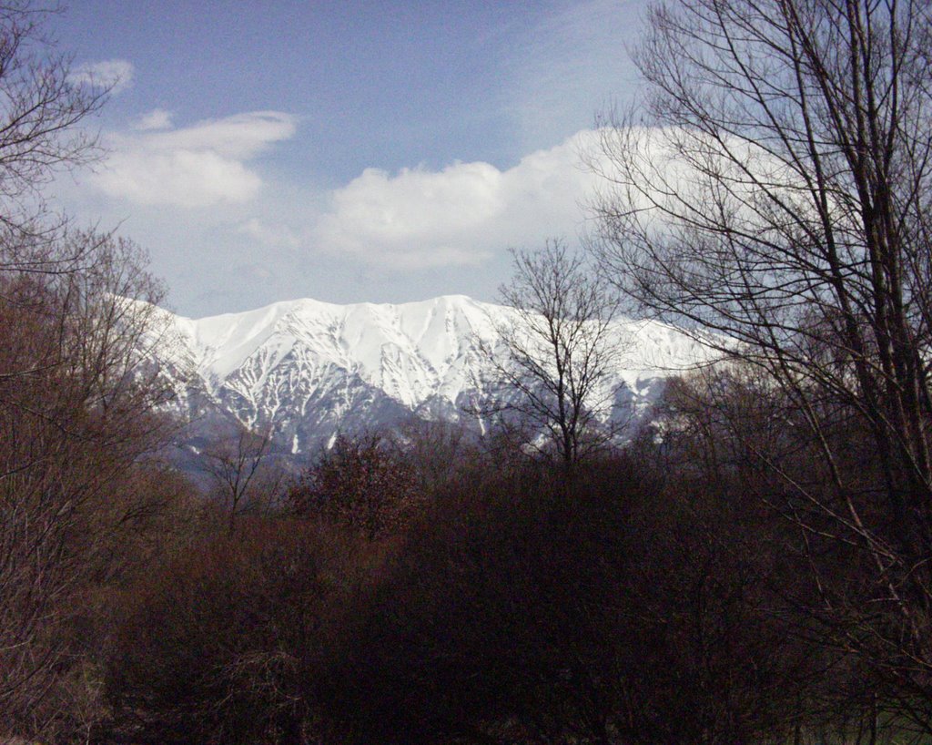 La catena del Vettore innevata foto 2 by Silvano Saveri