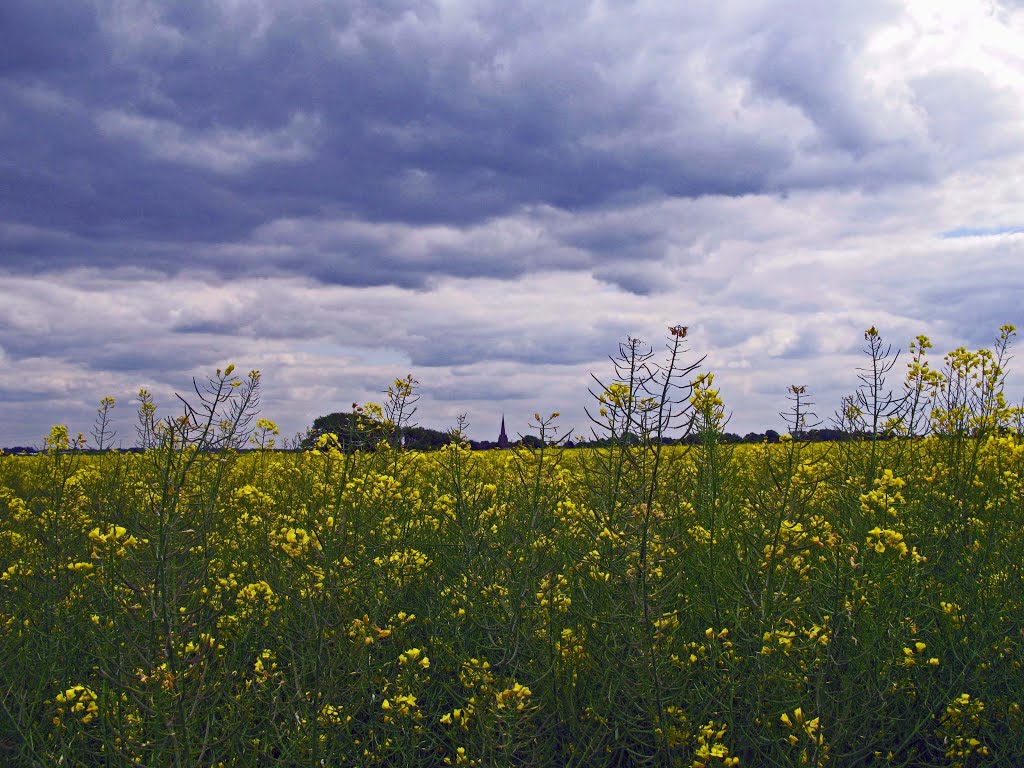 Sefton across the fields by RONKENJOHN129