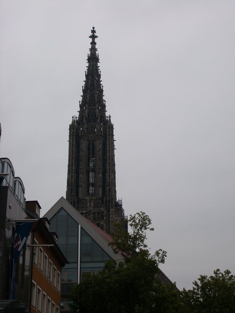 Ulmer Münster - höchster Kirchturm der Welt - 161 m by ch84at