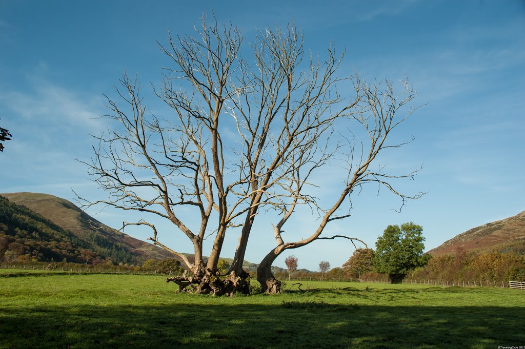 Loweswater, Allerdale, Lake District, Cumbria by Traveling-Crow