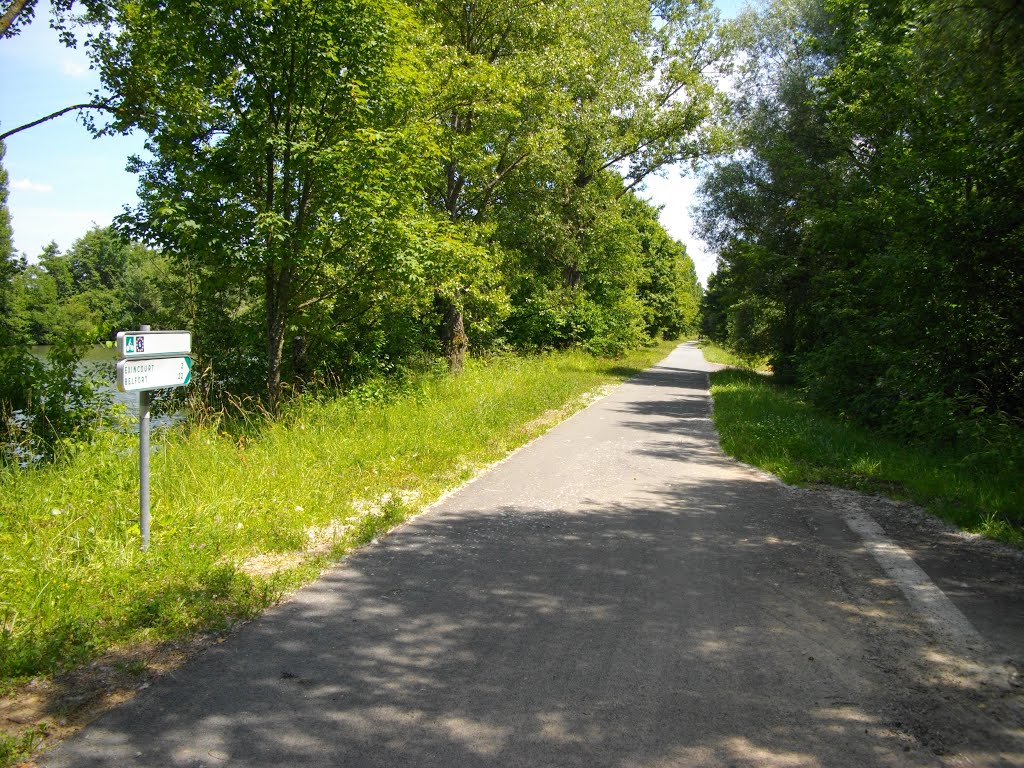 Intersection du Pied des Gouttes à Montbéliard by Claudius B.