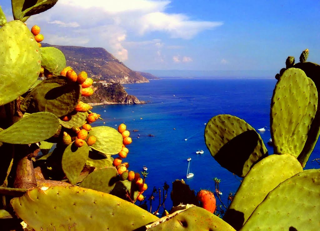 PLEASE ENLARGE...Lipari, prickly pears ripe ...... with panoramic sea of Sicily. by Johnny Poole