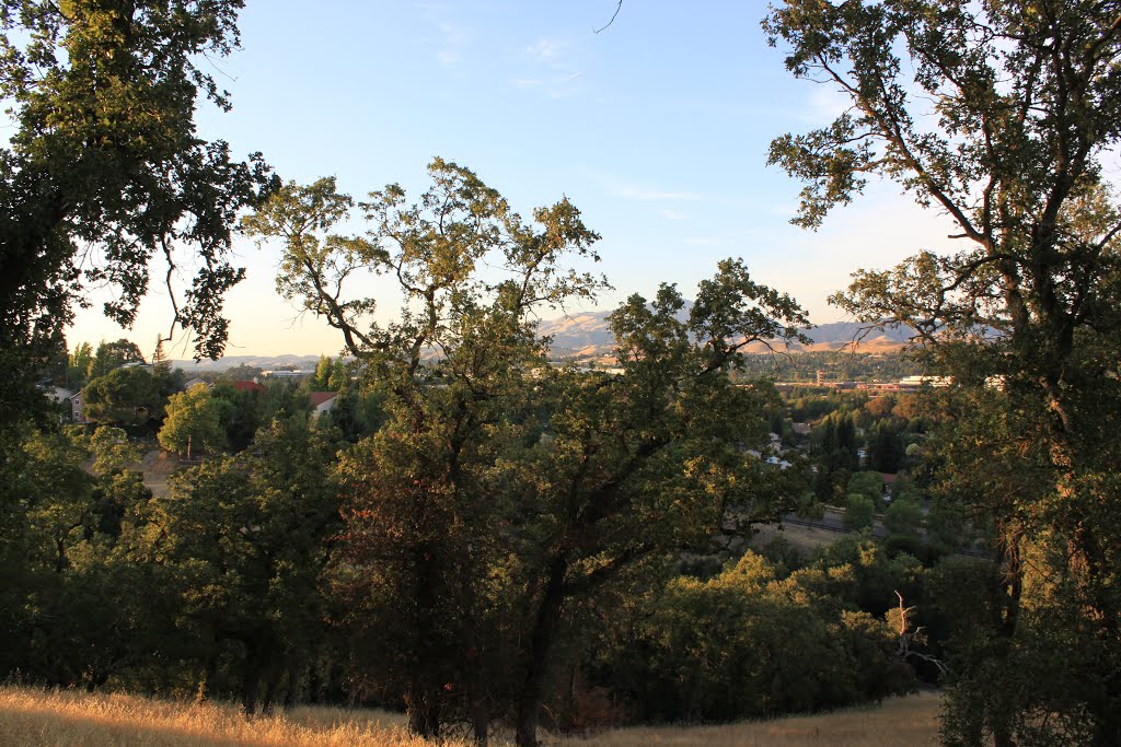 Along Grey Fox Trail of the Bishop Ranch Regional Open Space by Brian Zurita