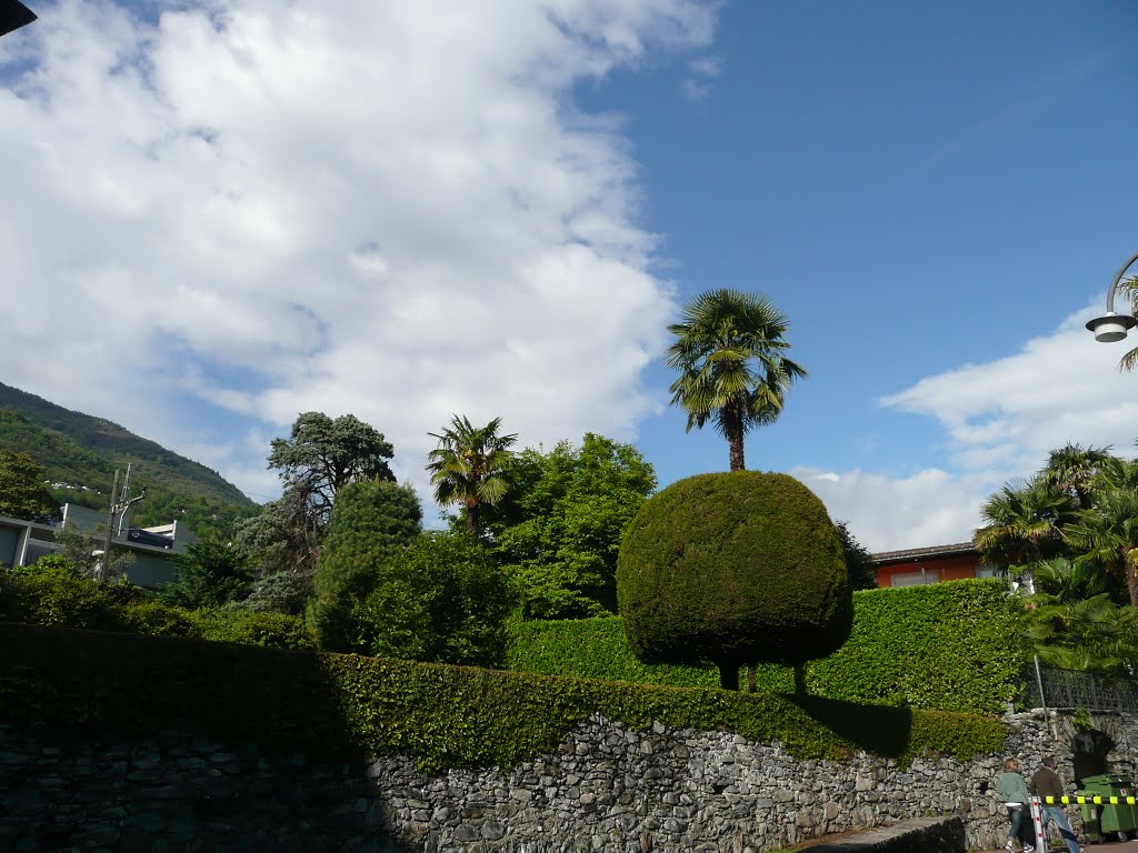 Svizzera - Locarno - Minusio - camminare in riva al lago Maggiore / walk by the lake Lago Maggiore by GiselaJ