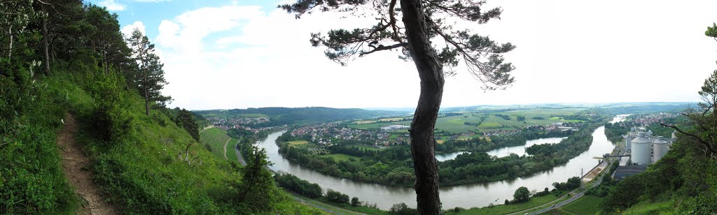 Panoramablick vom Kallmuth aufs Mainviereck (8330 x 2502) by lebola