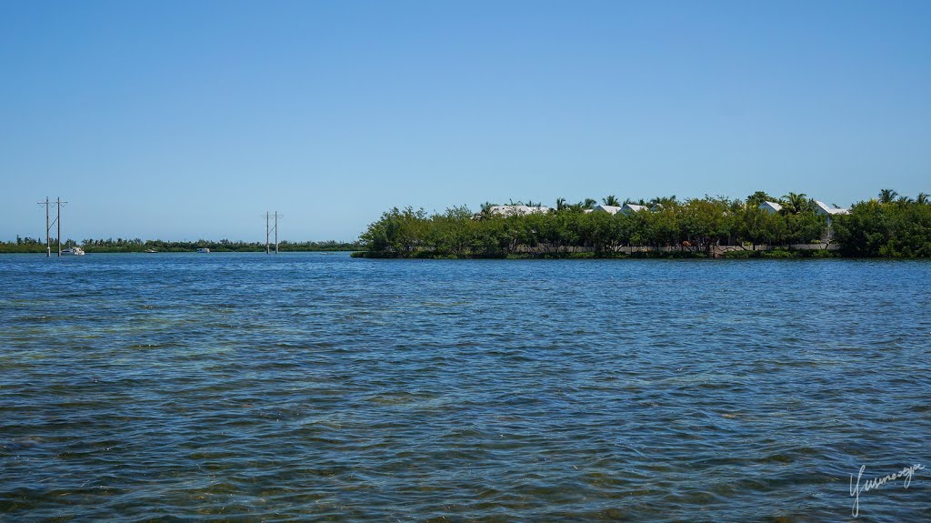 Looking north from Banana Bay Resort by yuseneotype