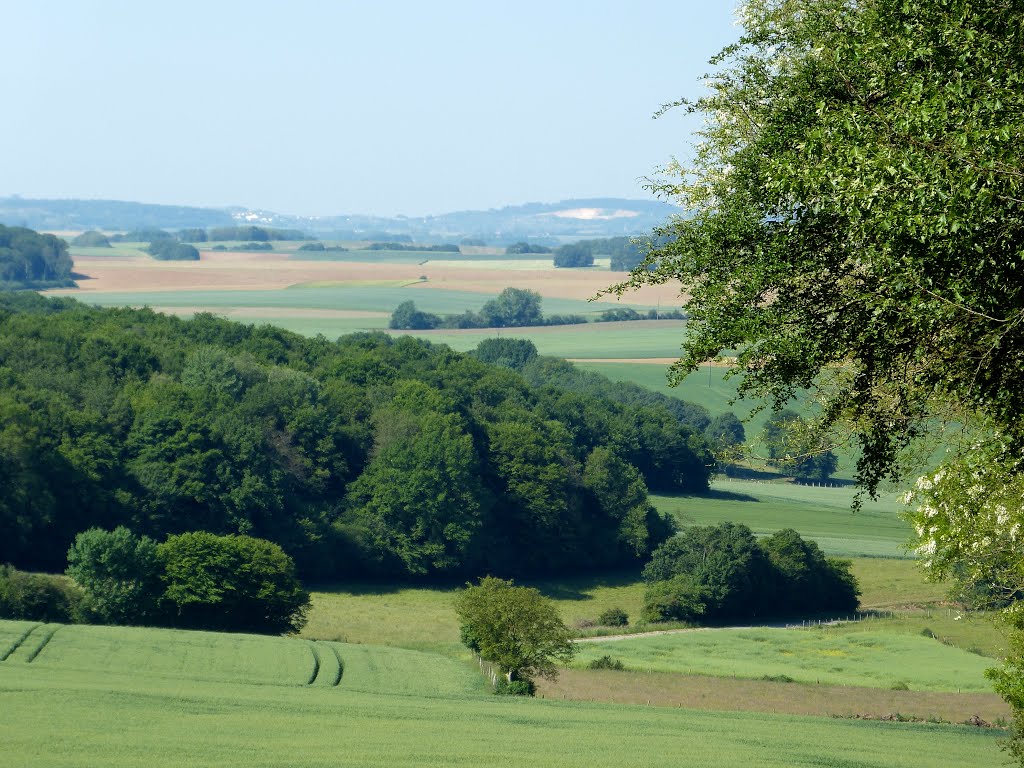 SALIGNEY - en redescendant le mont de Vassange by Sylvie MAUGRAS VINCENT