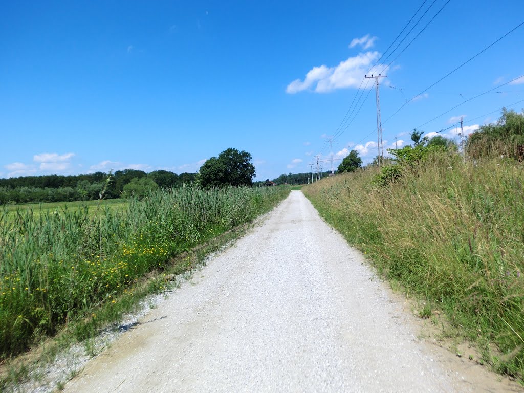 Taurenradweg - neue Umleitung nach Hochwasser 2013 by gregor_sky