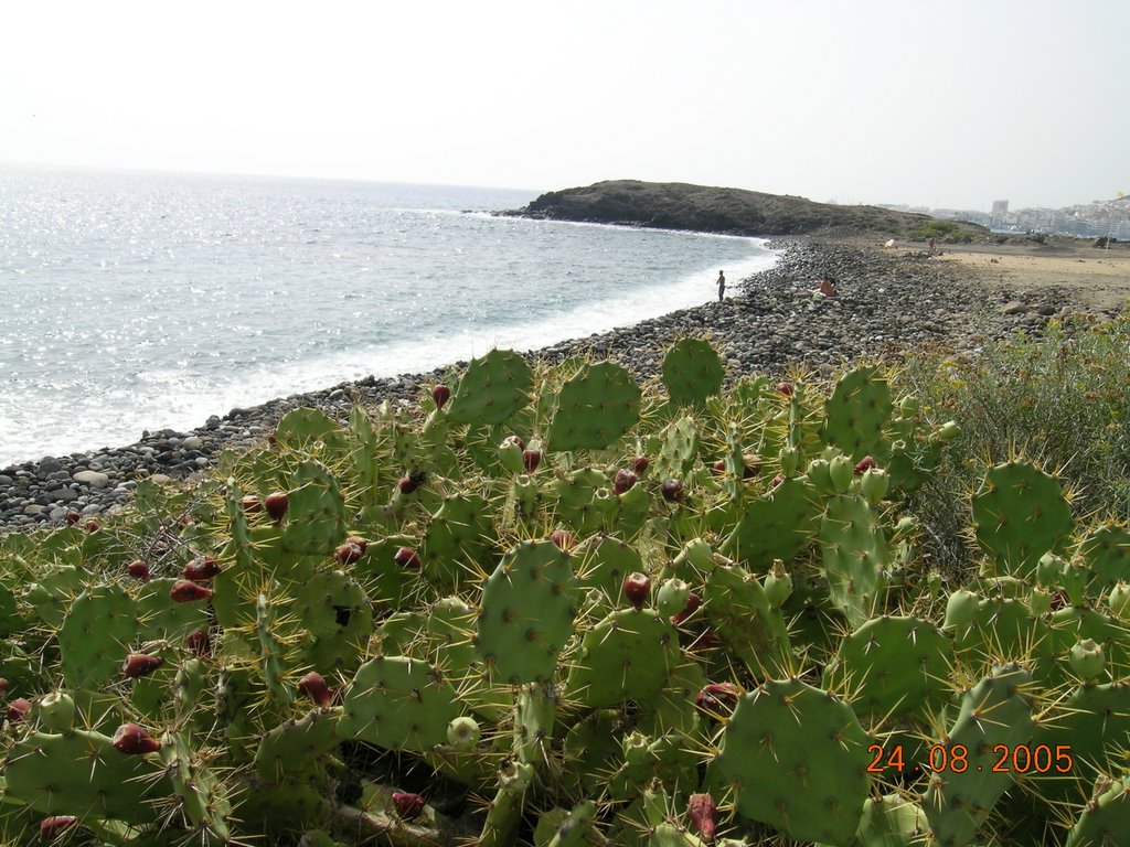 Los Cristianos - Santa Cruz de Tenerife by Josep Manuel Mercade…