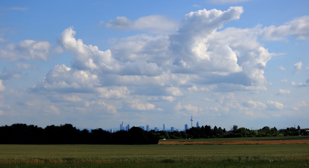 KE - Blick nach Frankfurt am Main by Karl Eggenmüller-Panoramio, the only way for 