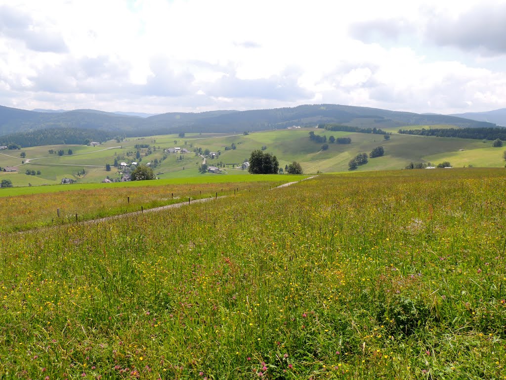 2013.06-Schauinsland-Schwarzwald. by dawx