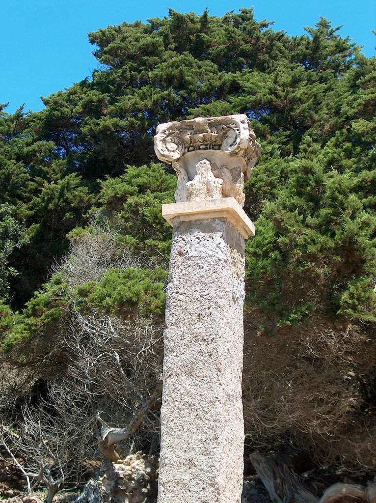 Colonna con Capitello by Marco V.