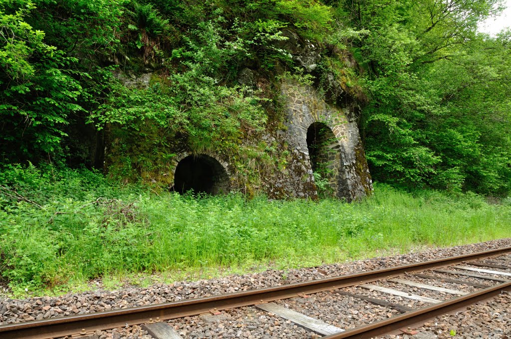 Chemins de fer d'Auvergne. by Tireman.