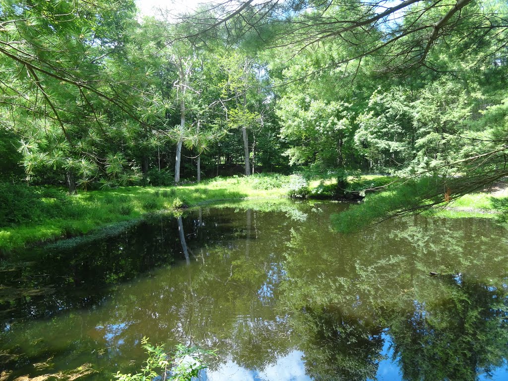 Three Ponds by rogerking