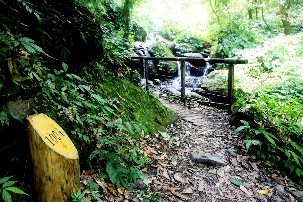 聖母登山步道 by frank348