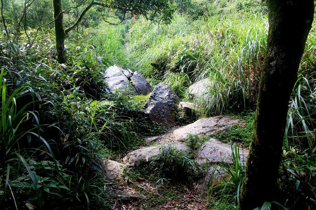 三角崙山登山步道，前方開始小段拉繩陡坡 by frank348