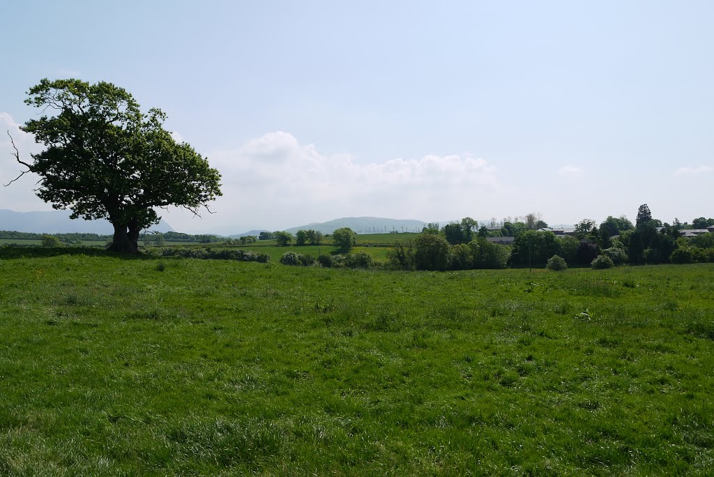 Gable Avenue/Strawberry How field - John Glaister by BillDalton