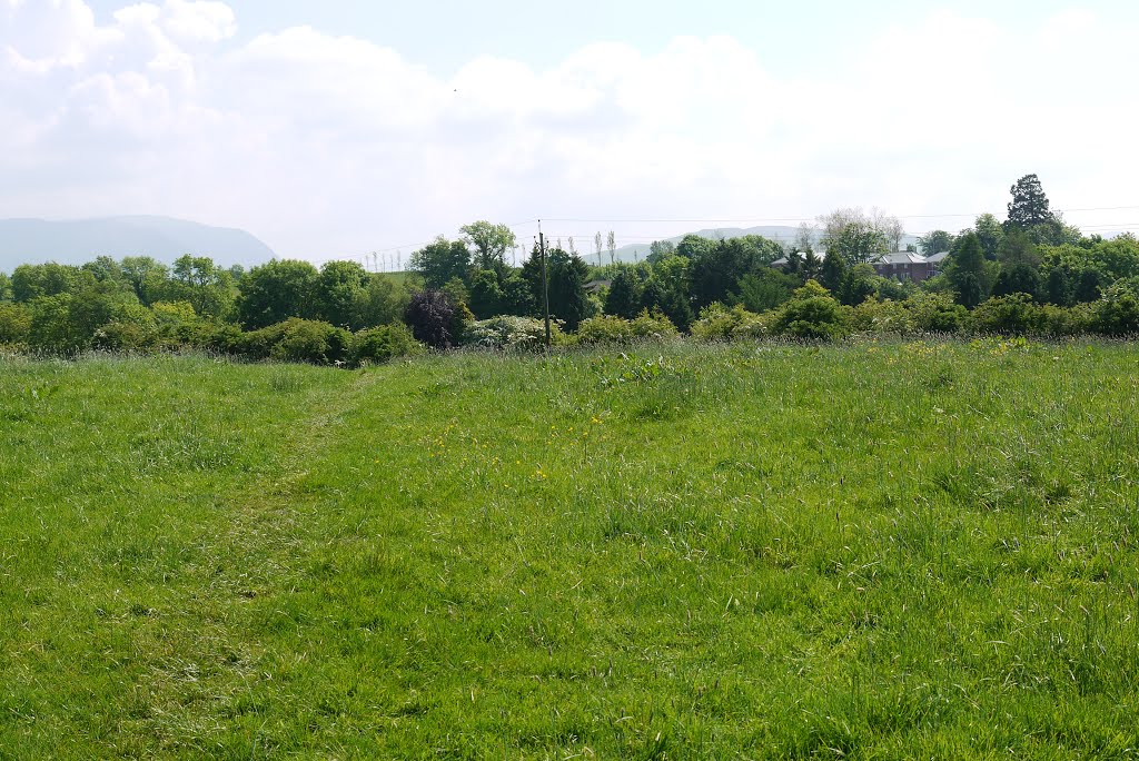 Gable Avenue/Strawberry How field - John Glaister by BillDalton