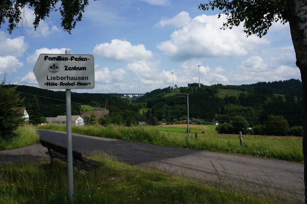 Kreuzung am Wirtschaftsweg zum Ferienzentrum Lieberhausen am 2. Juli 2013 nachmittags by Wolfgang Hanko