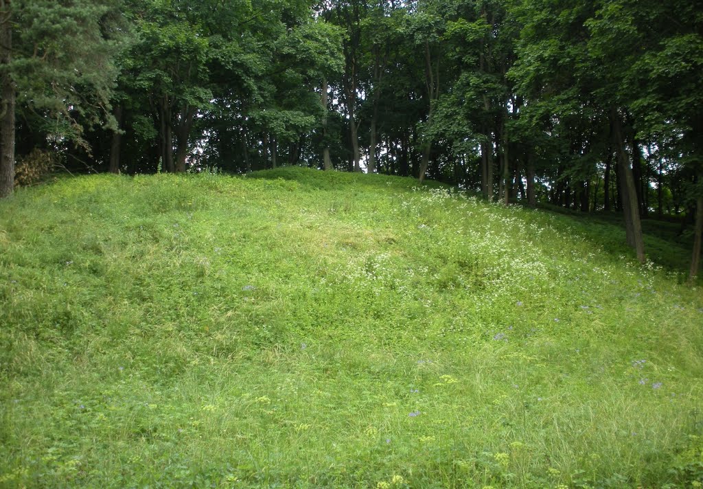 Pilaitės piliakalnis (Pilaite mound) by MrEko